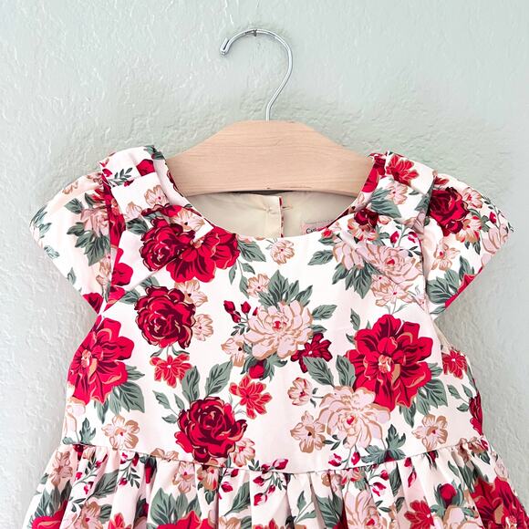 Catherine Malandrino Dress Girls 5 Ivory Floral Velvet Holiday Lined Cap Sleeve - Picture 5 of 9